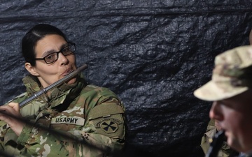 Jinhae Cherry Blossom Festival