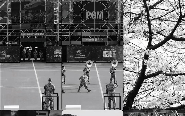 Prepare for the Bloom