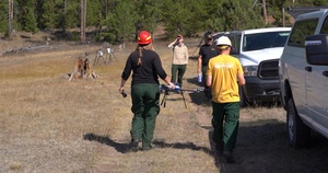 Wildfire Ignition Research, Lubrecht Experimental Forest, Montana