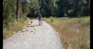 Forest Recreation, Lolo National Forest, Montana