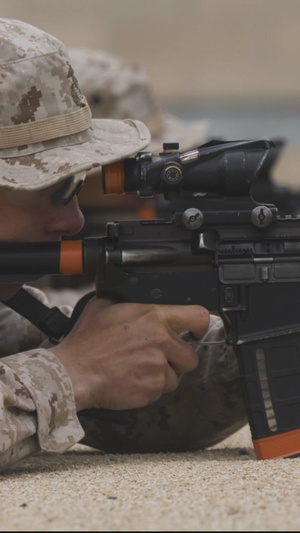 Kilo Company Table One