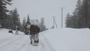 CORE 26 | Logistics Marines Support Infantry During Arctic Exercise in Finland