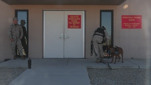 K9 Handlers conduct explosive search drills at the Combat Center