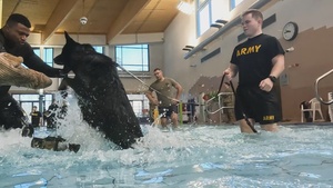 Mission Minute - Military Working Dogs Aquatic Enrichment 1080p