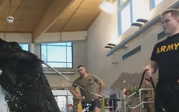 Mission Minute - Military Working Dogs Aquatic Enrichment 1080p