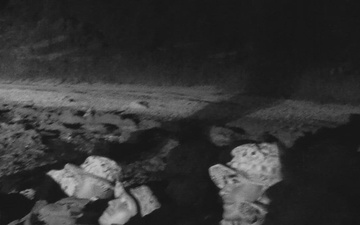 B-Roll: U.S. Marines with 1st MARDIV host annual squad competition