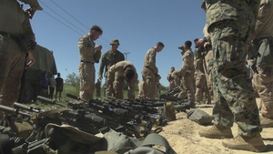 B-Roll: U.S. Marines with 1st MARDIV host annual squad competition