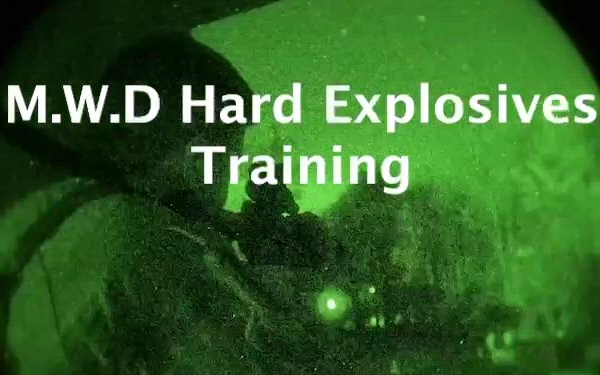 Day and night, the 4th Security Forces Squadron stands ready