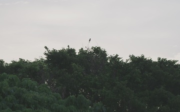 5th Air Naval Gunfire Liaison Company conducts dry close air support training