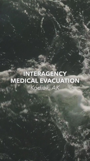 Arctic Edge 26: Interagency Medical Evacuation Stinger for Social Media