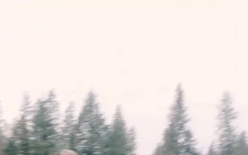 Social 9x16: 5SFAB conducts buddy team live fire training