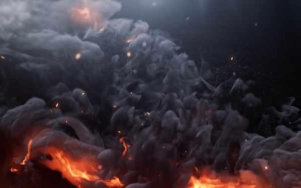 The Dragon Standard - Saluting