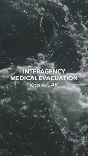 Arctic Edge 26: Interagency Medical Evacuation Stinger for Social Media