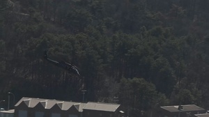 U.S. Marines with 12th LCT Establish a Scout Position in Preparation for a CALFEX