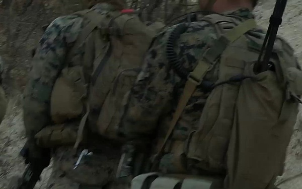 U.S. Marines with 12th LCT Execute a Dry-Fire Company Attack During CALFEX
