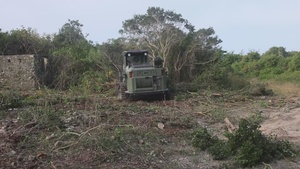 U.S. Marines with MWSS-271 conduct tree-felling operations