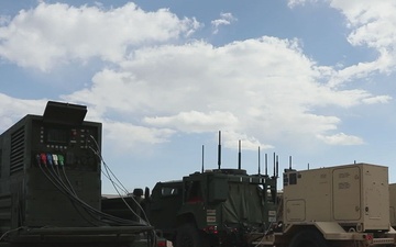 Ivy Sting 5: 20260304 B-Roll