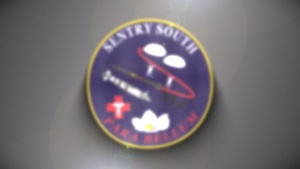 Sentry South 26-2 - Services