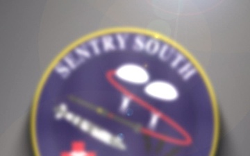 Sentry South 26-2 - Services