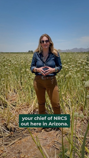 Dishin' the Dirt: Agricultural Efficiency in the West