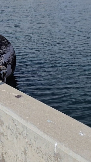 USS Cincinnati returns to homeport in San Diego