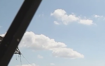 Ivy Sting 5 Sizzle Reel