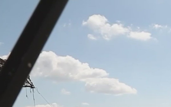 Ivy Sting 5 Sizzle Reel