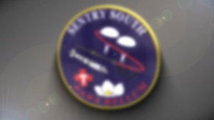 Sentry South 26-2 Endex