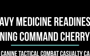 We Keep the Four-Pawed Warfighter in the Fight: Cherry Point Sailors Train with Army Veterinary Specialists