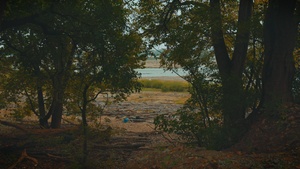Water Safety PSA No Swimming on Beach