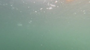 ARCTIC EDGE 2026: First Person Diving