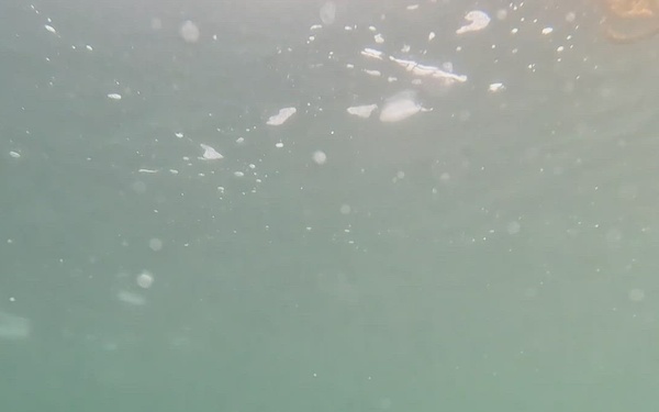 ARCTIC EDGE 2026: First Person Diving