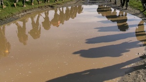 B-Roll: 1st ANGLICO completes field training exercise