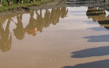 B-Roll: 1st ANGLICO completes field training exercise