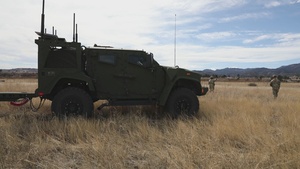 Ivy Sting 5: Node Displacement