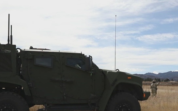 Ivy Sting 5: Node Displacement