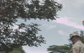 Setting the Standard: Tropic Lightning Division E3B Begins