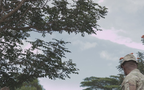 Setting the Standard: Tropic Lightning Division E3B Begins