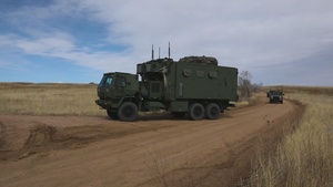 Ivy Sting 5 Node Displacement