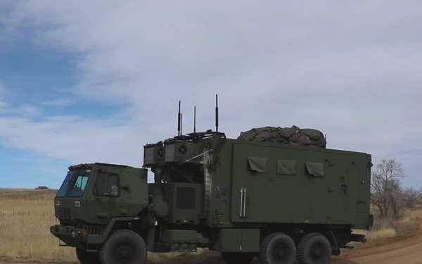 Ivy Sting 5 Node Displacement