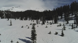 Bunny Flat Trailhead