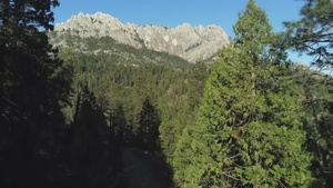 Castle Crags Wilderness