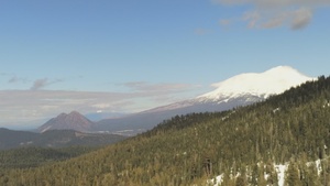 Aerial View of Forest near Castle Lake