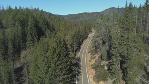 Aerial View of Forested Landscape near Harrison Gulch Ranger Station