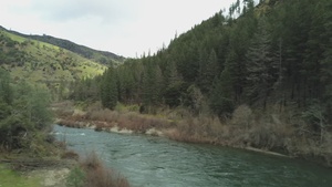 Pigeon Point Campground