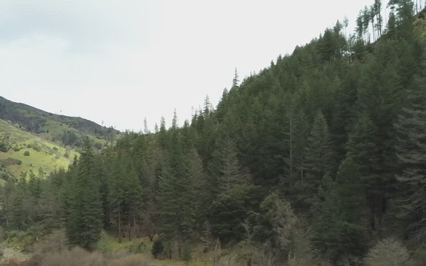 Pigeon Point Campground