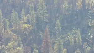 Aerial View of Wonder Fire Burn Scar