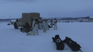US Marines conduct OP6 Stinger live-fire exercise during ARCTIC EDGE 2026