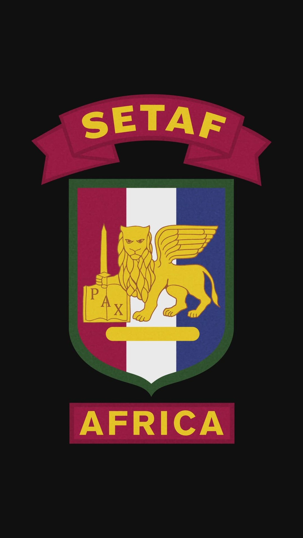 DVIDS - Video - SETAF-AF recognizes the 2026 New Year [Social Media 9:16]
