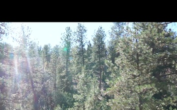 Caylor Fuels Reduction Project on South Park Ranger District